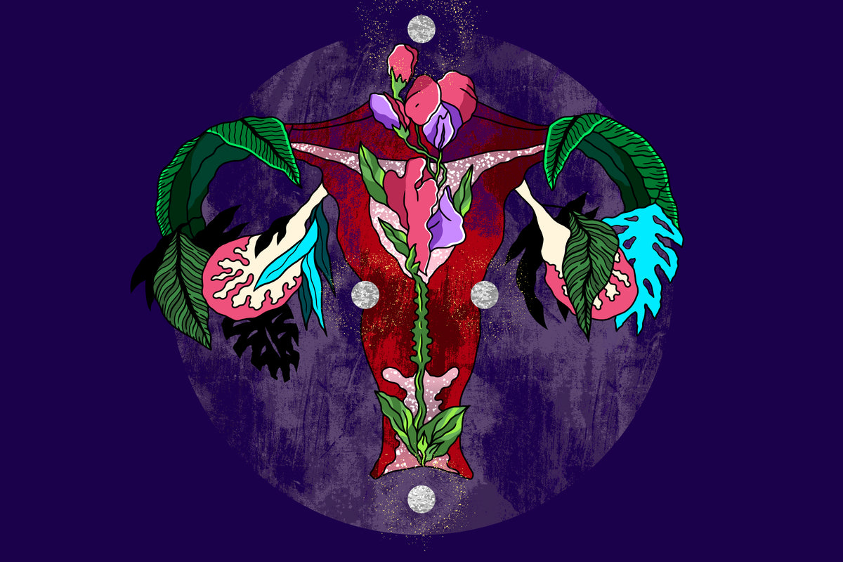 Artistic illustration of a vagina and reproductive system