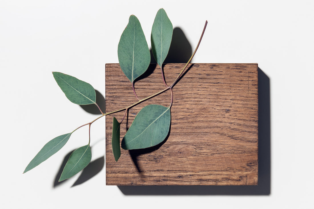 5 Learning Curves Worth Going Through to Upgrade Your Life