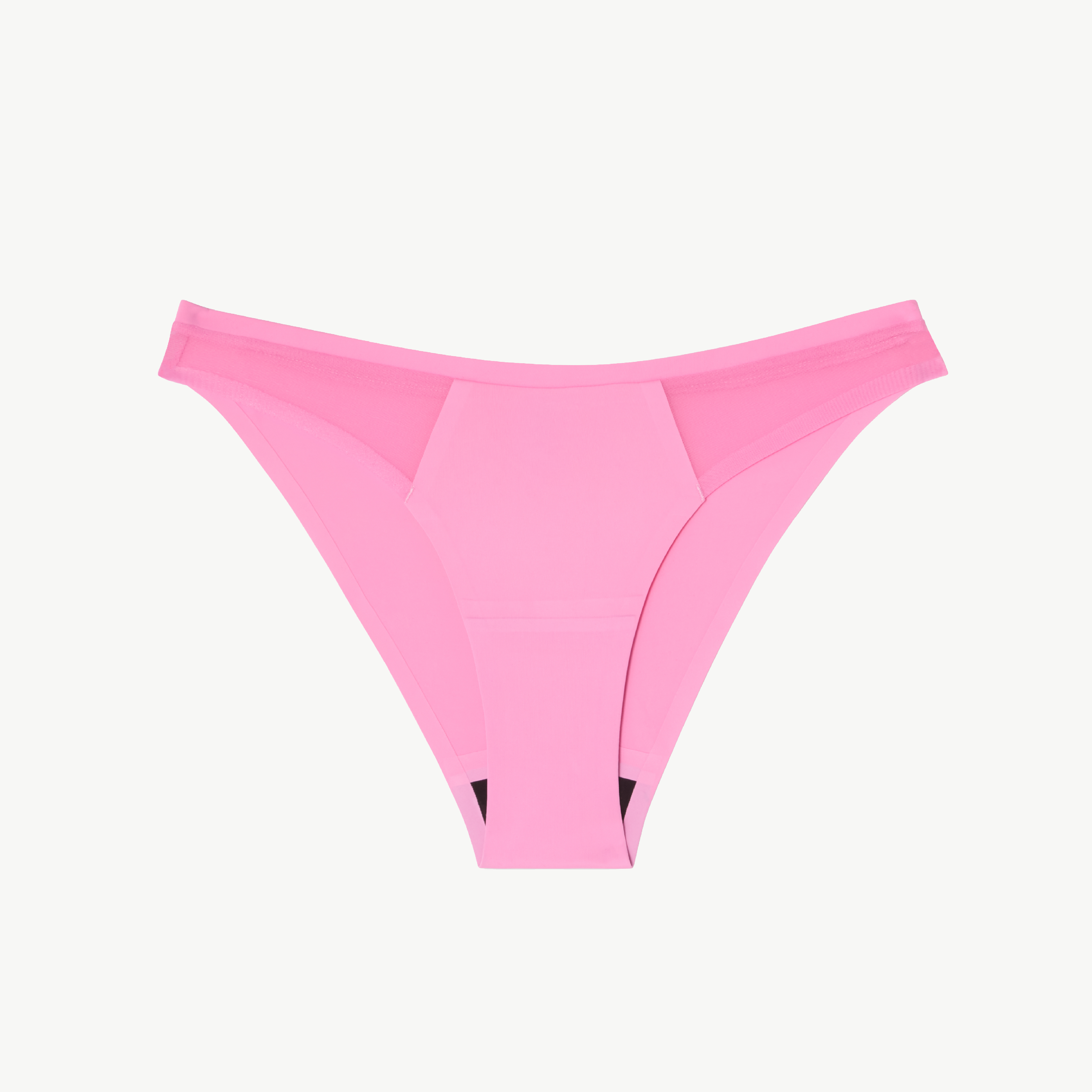 Understatement Micro Period Bikini Briefs