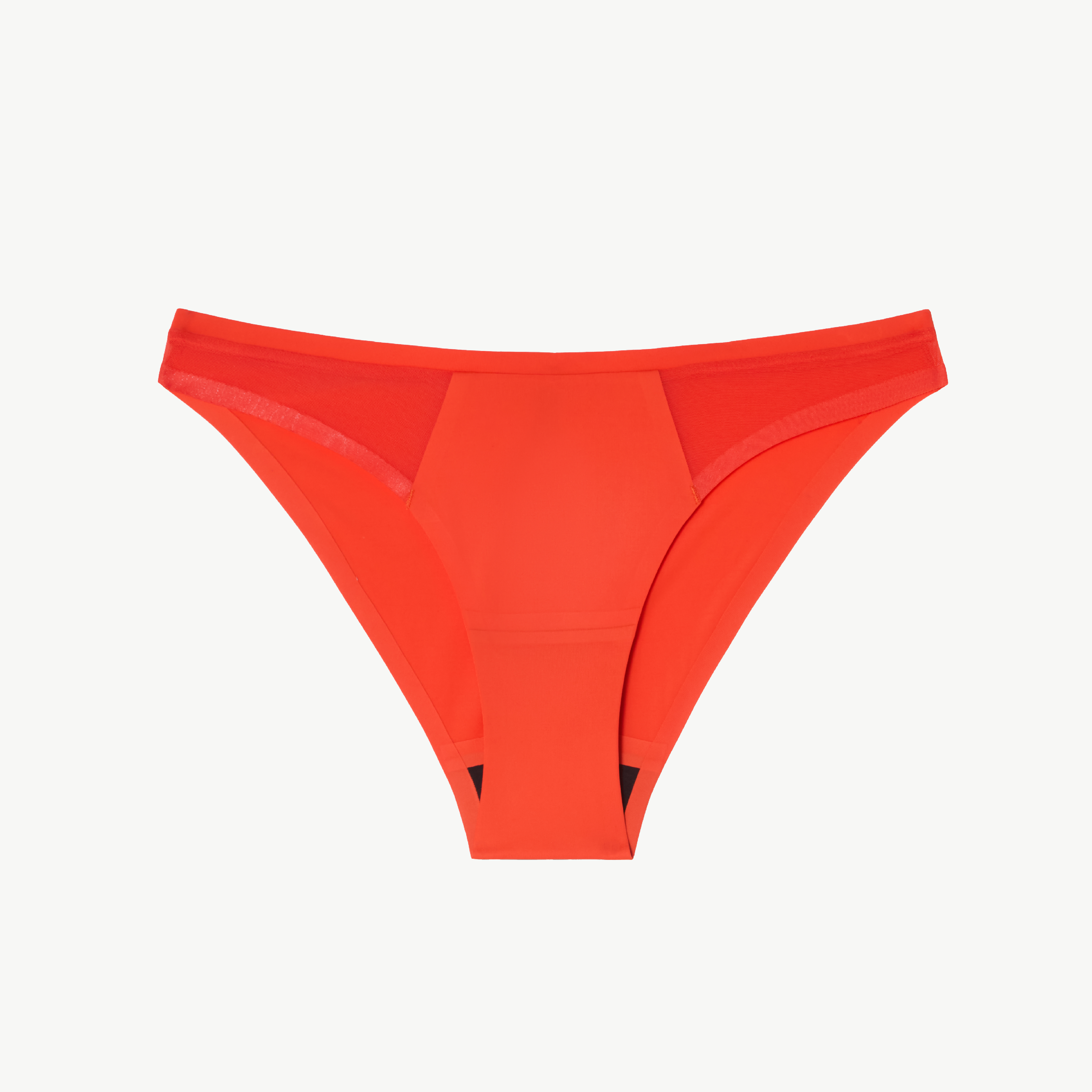 Understatement Micro Period Bikini Briefs