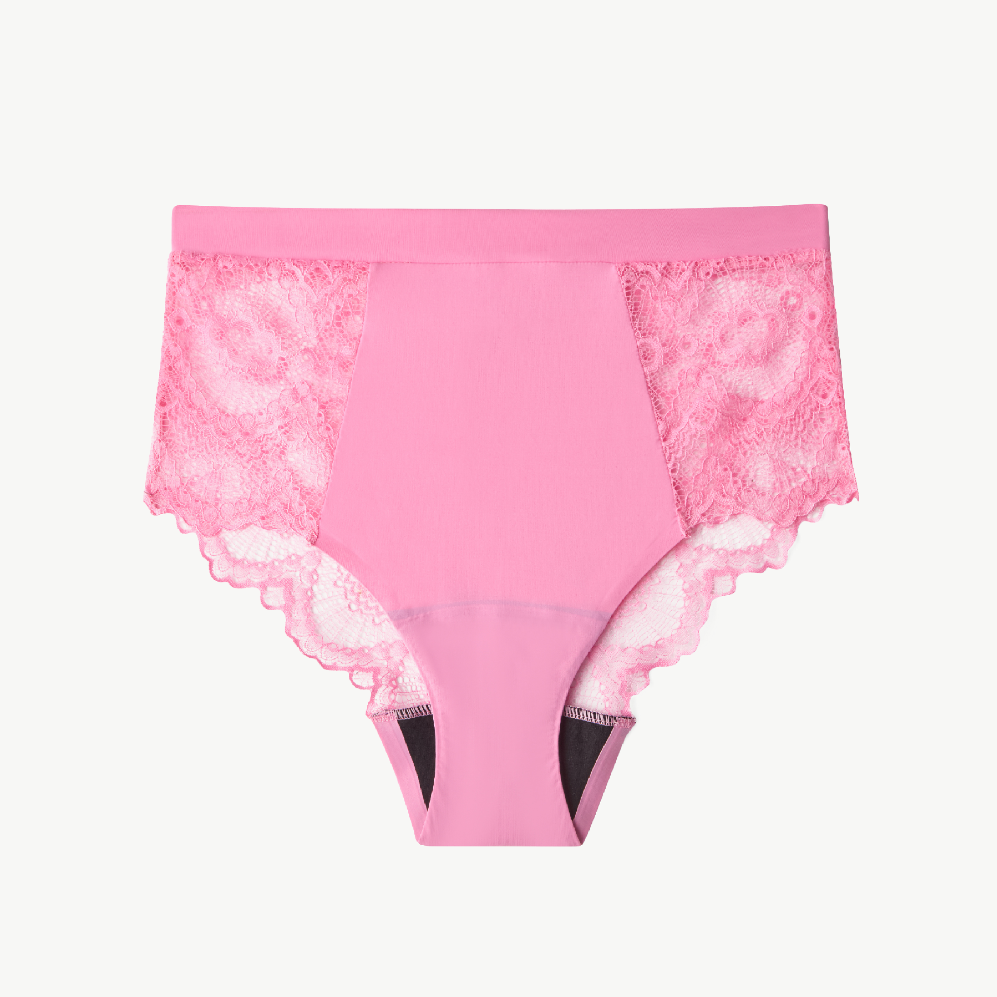 Understatement Lace Period Highwaist Briefs