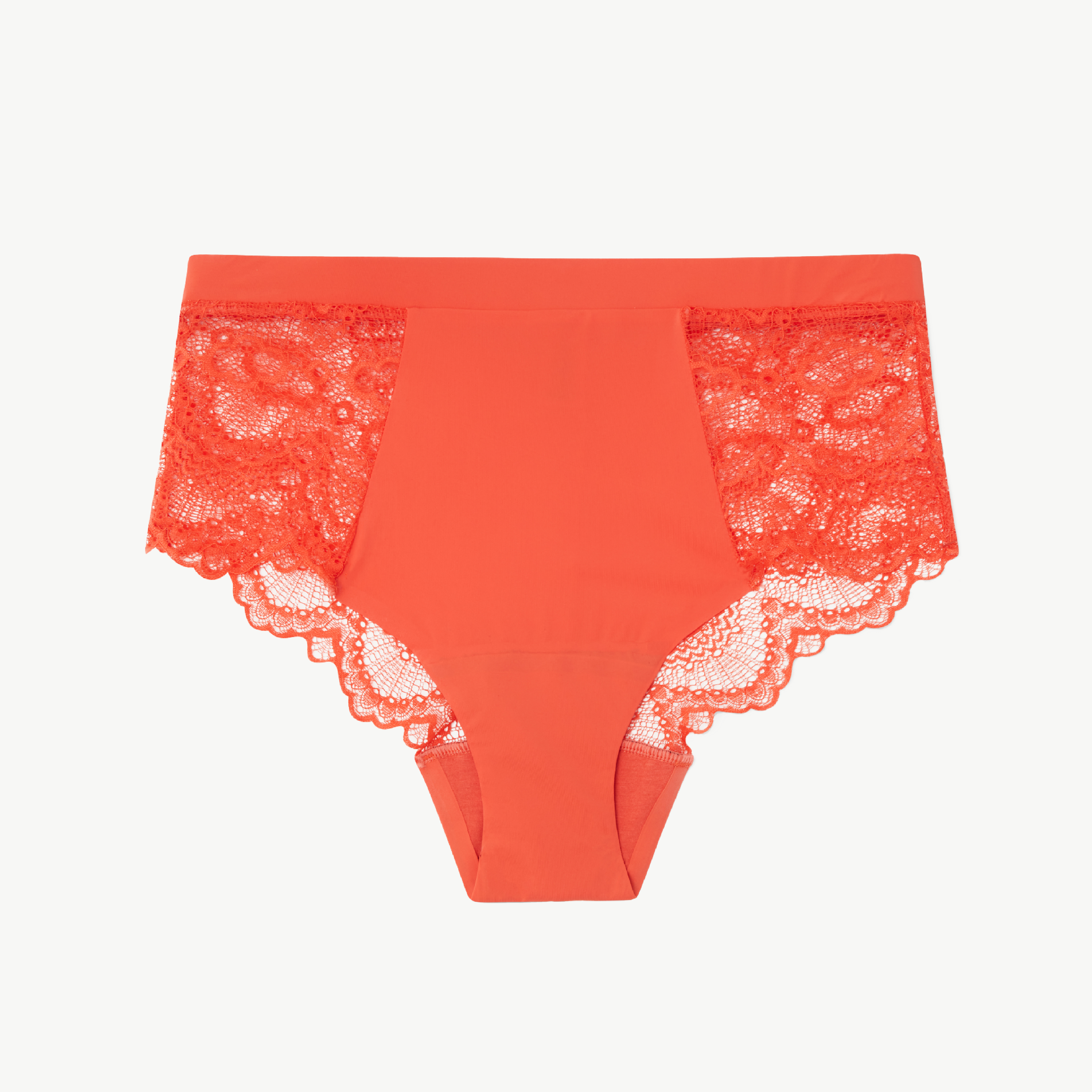 Understatement Lace Period Highwaist Briefs