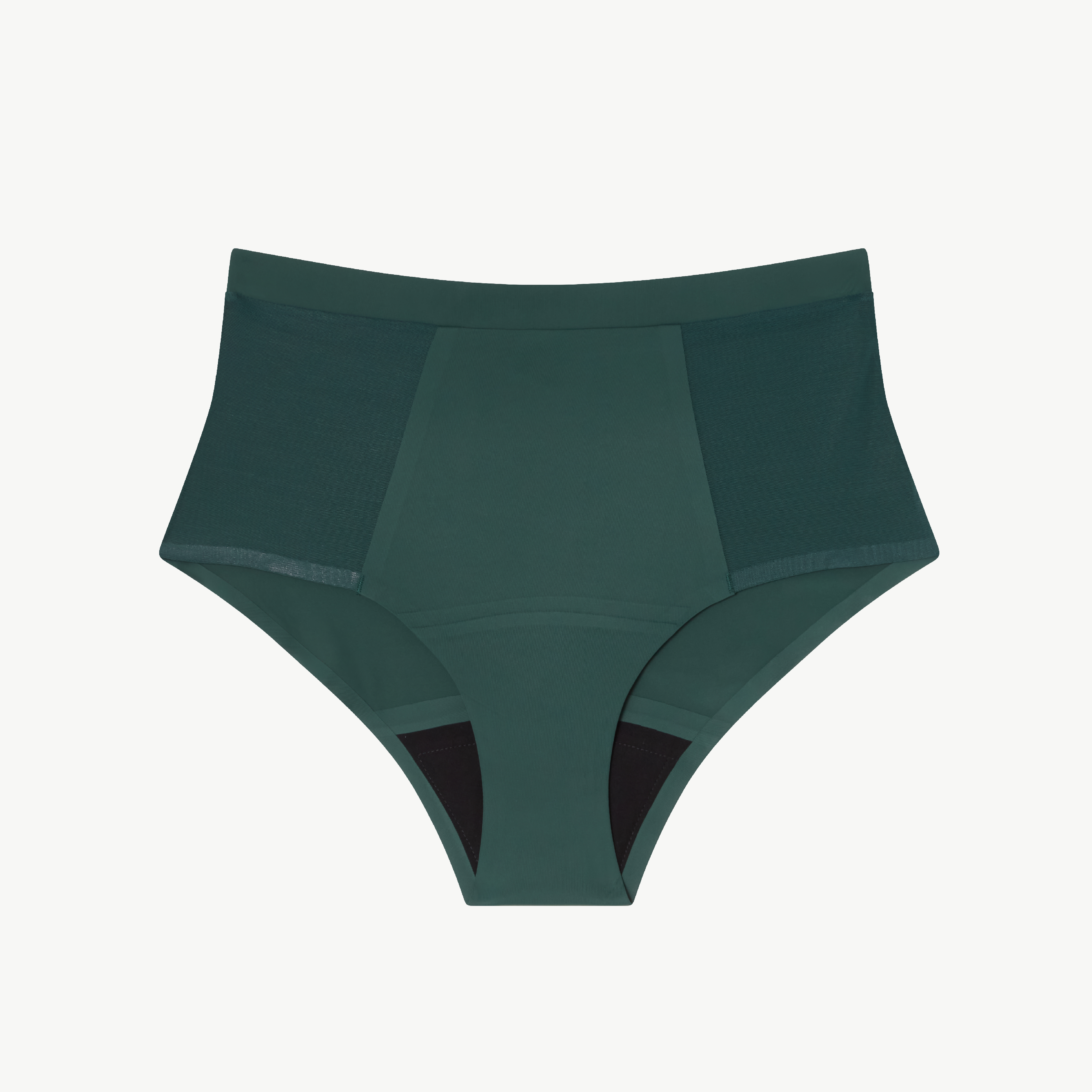Understatement Micro period highwaist briefs
