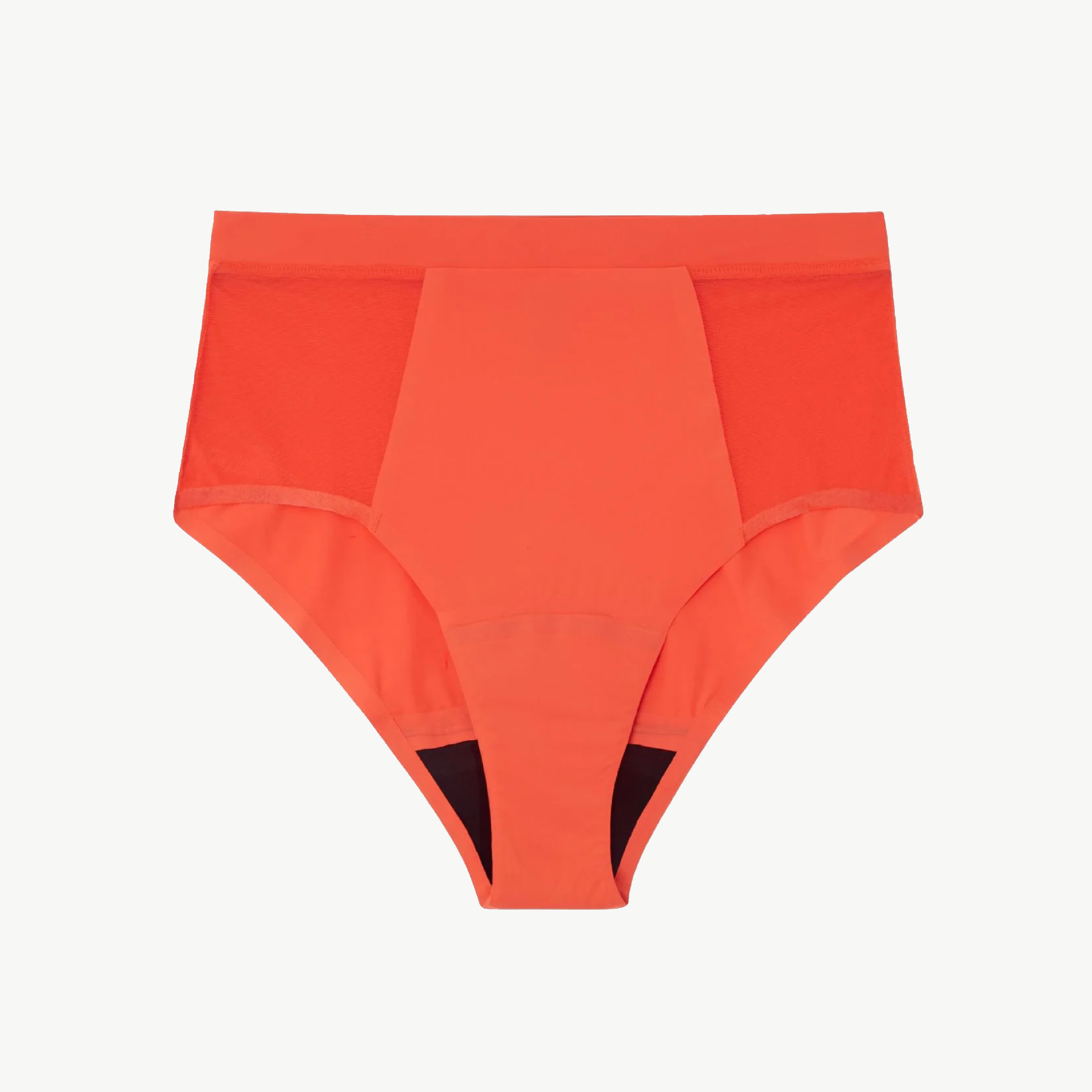 Understatement Micro period highwaist briefs